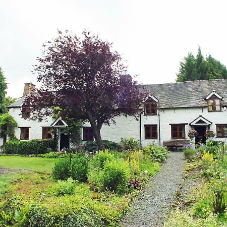 Glencoed B&B Wrexham Dış mekan fotoğraf
