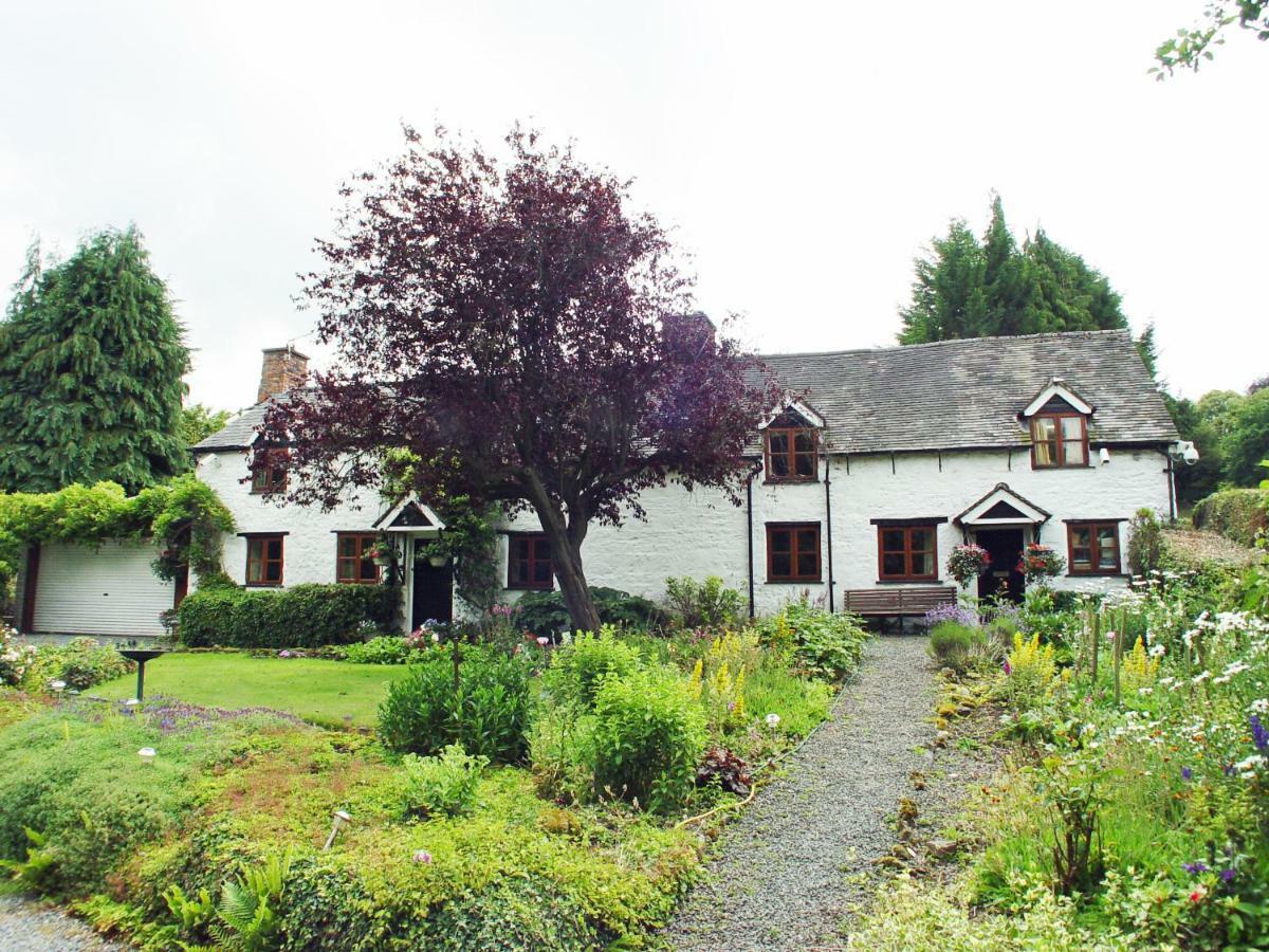 Glencoed B&B Wrexham Dış mekan fotoğraf