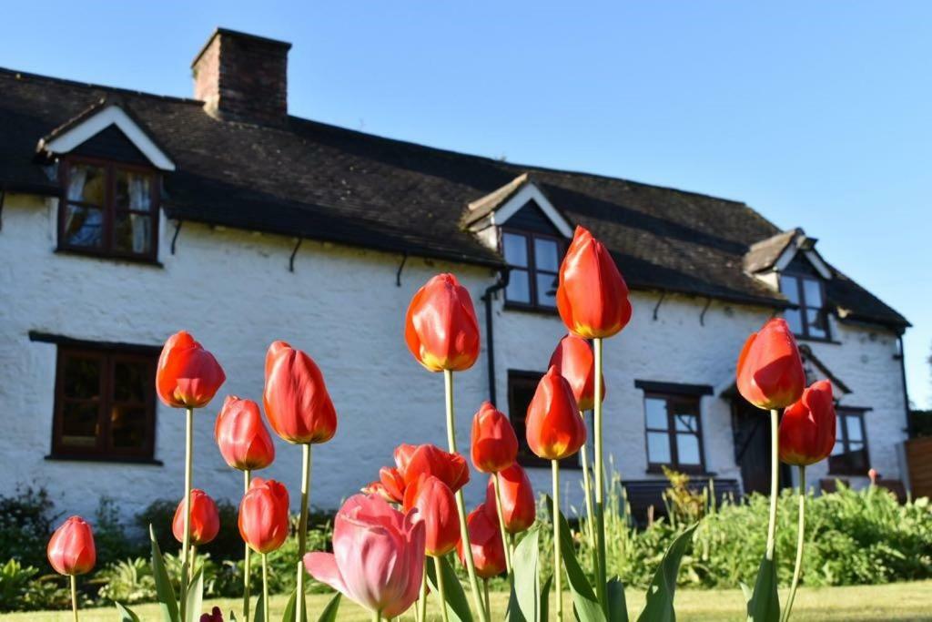Glencoed B&B Wrexham Dış mekan fotoğraf